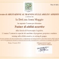 Ingrandire l'immagine: certificate 6