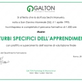 Ingrandire l'immagine: certificate 1