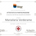 Ingrandire l'immagine: certificate 23