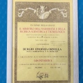 Ingrandire l'immagine: certificate 1
