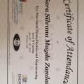 Ingrandire l'immagine: certificate 6
