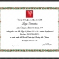 Ingrandire l'immagine: certificate 1