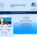 Ingrandire l'immagine: certificate 5