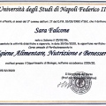 Ingrandire l'immagine: certificate 8