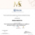 Ingrandire l'immagine: certificate 3