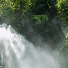 Studio Medico-Dentistico "Ferrara"
