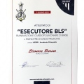 Ingrandire l'immagine: certificate 4