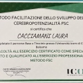 Ingrandire l'immagine: certificate 5