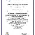 Ingrandire l'immagine: certificate 14