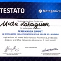 Ingrandire l'immagine: certificate 21
