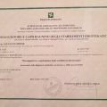 Ingrandire l'immagine: certificate 2