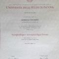 Ingrandire l'immagine: certificate 3