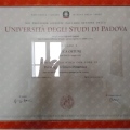 Ingrandire l'immagine: certificate 1