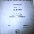 Ingrandire l'immagine: certificate 4