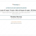 Ingrandire l'immagine: certificate 6