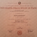 Ingrandire l'immagine: certificate 1