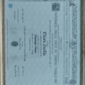 Ingrandire l'immagine: certificate 1