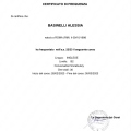 Ingrandire l'immagine: certificate 3