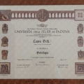 Ingrandire l'immagine: certificate 6