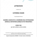 Ingrandire l'immagine: certificate 4