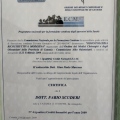 Ingrandire l'immagine: certificate 28