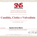 Ingrandire l'immagine: certificate 1