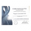 Ingrandire l'immagine: certificate 13