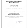 Ingrandire l'immagine: certificate 5