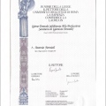 Ingrandire l'immagine: certificate 2
