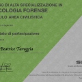 Ingrandire l'immagine: certificate 4