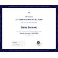 Ingrandire l'immagine: certificate 7