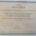Ingrandire l'immagine: certificate 2