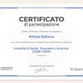 Ingrandire l'immagine: certificate 12