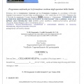 Ingrandire l'immagine: certificate 2