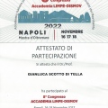 Ingrandire l'immagine: certificate 4