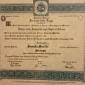 Ingrandire l'immagine: certificate 4
