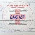 Ingrandire l'immagine: certificate 14
