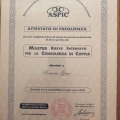 Ingrandire l'immagine: certificate 4