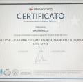 Ingrandire l'immagine: certificate 6