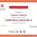 Ingrandire l'immagine: certificate 2