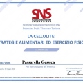 Ingrandire l'immagine: certificate 13