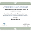 Ingrandire l'immagine: certificate 4