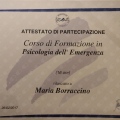 Ingrandire l'immagine: certificate 1