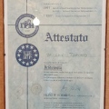 Ingrandire l'immagine: certificate 7