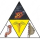 Diagnostica srl