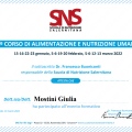 Ingrandire l'immagine: certificate 14