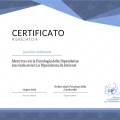 Ingrandire l'immagine: certificate 9