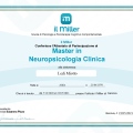 Ingrandire l'immagine: certificate 4