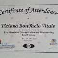 Ingrandire l'immagine: certificate 5