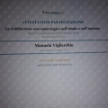 Ingrandire l'immagine: certificate 23